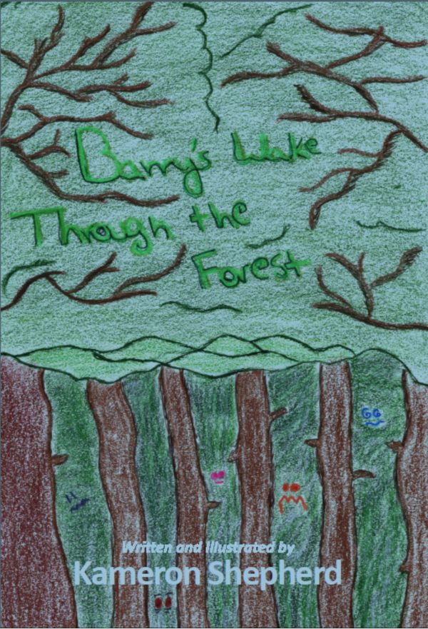 Book cover for Barry's Wake Through The Forest.